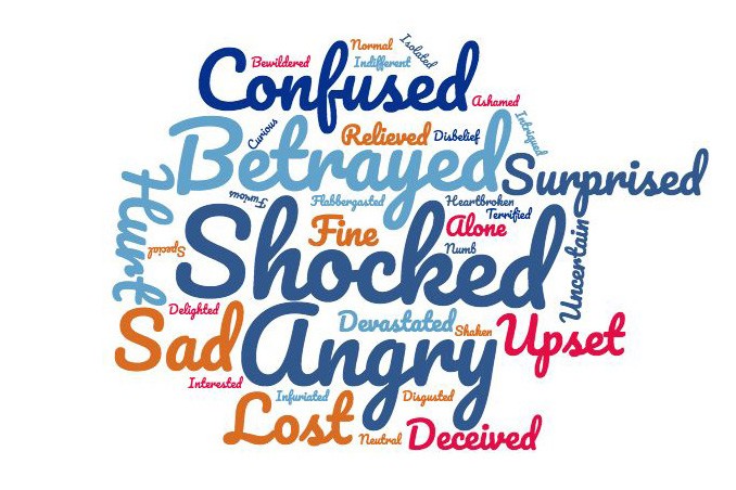 We Are DC Survey - initial response word cloud